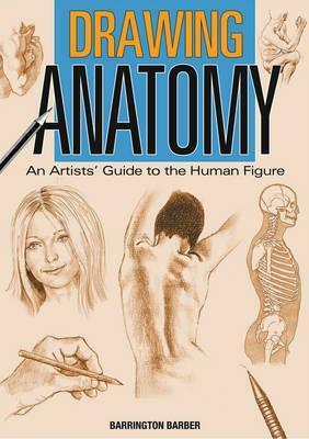 Drawing Anatomy: An Artists' Guide to the Human Figure by Barrington Barber