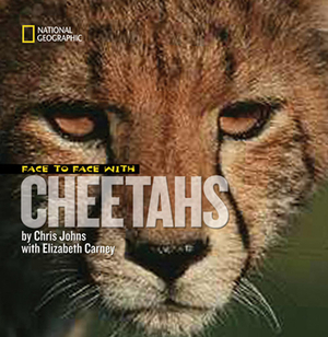 Face to Face with Cheetahs by Chris Johns, Elizabeth Carney