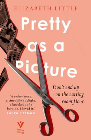 Pretty as a Picture by Elizabeth Little