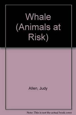 Whale by Judy Allen