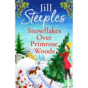 Snowflakes Over Primrose Woods  by Jill Steeples