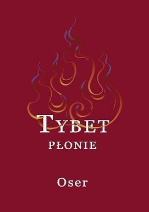 Tibet on Fire: Self-Immolations Against Chinese Rule by Tsering Woeser, Adam Kozieł