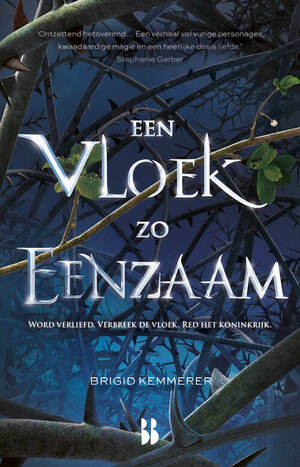 Een vloek zo eenzaam by Brigid Kemmerer