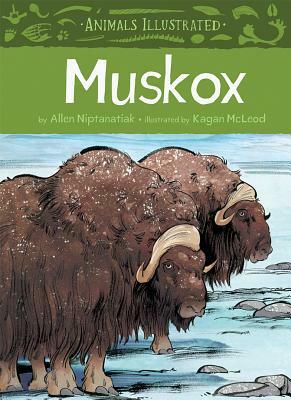 Animals Illustrated: Muskox by Allen Niptanatiak