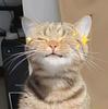 julchen21's profile picture