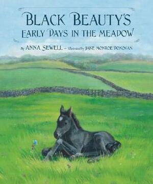 Black Beauty's Early Days in the Meadow by Anna Sewell