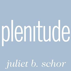 Plenitude: The New Economics of True Wealth by Juliet B. Schor