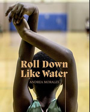 Roll Down Like Water by Andrea Morales