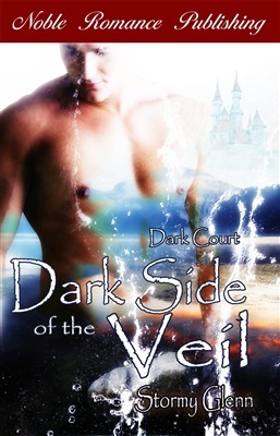 Dark Side of the Veil by Stormy Glenn