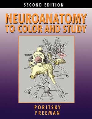 Neuroanatomy to Color and Study by Barbara K. Freeman, Ray Poritsky