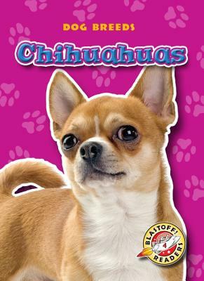 Chihuahuas by Sara Green