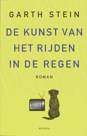 De kunst van het rijden in de regen by Garth Stein