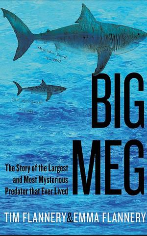Big Meg: The Story of the Largest and Most Mysterious Predator That Ever Lived by Emma Flannery, Tim Flannery