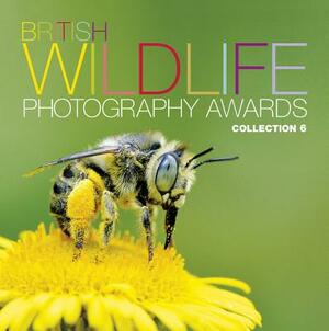 British Wildlife Photography Awards: Collection 6 by AA Publishing