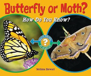 Butterfly or Moth?: How Do You Know? by Melissa Stewart