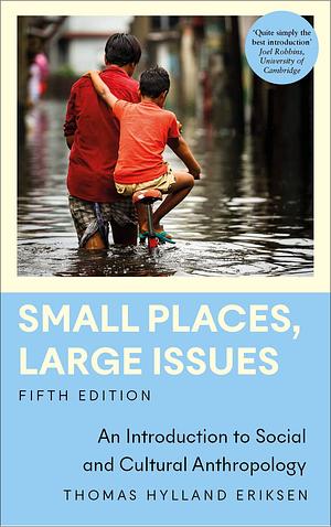 Small Places, Large Issues: An Introduction to Social and Cultural Anthropology by Thomas Hylland Eriksen