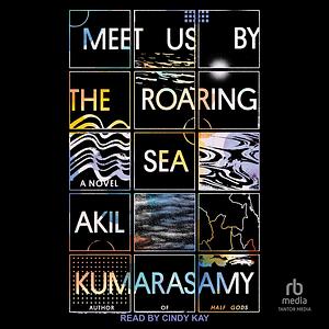 Meet Us by the Roaring Sea by Akil Kumarasamy