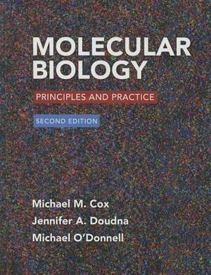 Molecular Biology: Principles and Practice 2e & Launchpad for Cox's Molecular Biology (6 Month Online) by Jennifer Doudna, Michael M. Cox, Michael O'Donnell