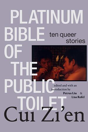 Platinum Bible of the Public Toilet: Ten Queer Stories by Zi'en Cui