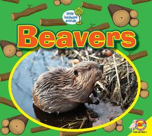 Beavers by Heather Kissock