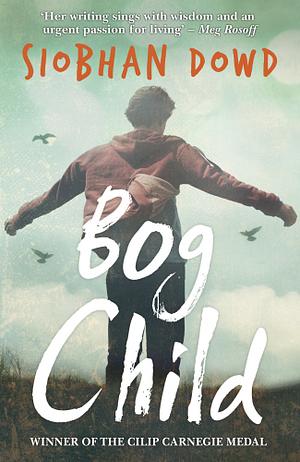 Bog Child by Siobhan Dowd