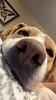 lexieraestinson's profile picture