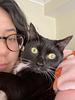 sofia_casanova's profile picture