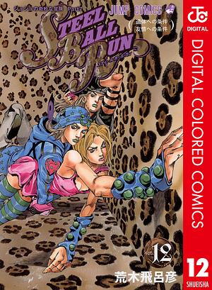 ジョジョの奇妙な冒険 第7部 スティール・ボール・ラン カラー版 12 by 荒木 飛呂彦, Hirohiko Araki