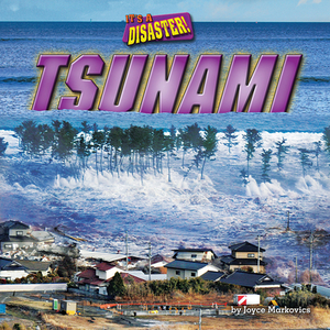 Tsunami by Joyce Markovics