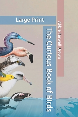 The Curious Book of Birds: Large Print by Abbie Farwell Brown