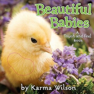 Beautiful Babies by Karma Wilson