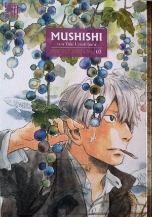 Mushishi, Vol. 3 - Perfect Edition by Yuki Urushibara