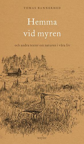 Hemma vid myren: Och andra texter om naturen i våra liv by Tomas Bannerhed