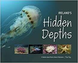 Ireland's Hidden Depths by Paul Kay