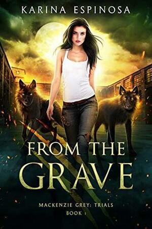 From the Grave: A New Adult Urban Fantasy by Karina Espinosa