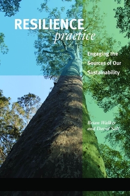 Resilience Practice: Building Capacity to Absorb Disturbance and Maintain Function by Brian Walker, David Salt