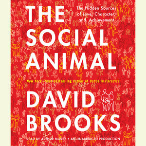 The Social Animal: The Hidden Sources of Love, Character, and Achievement by David Brooks