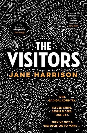 The Visitors by Jane Harrison