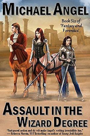 Assault in the Wizard Degree by Michael Angel, Michael Angel