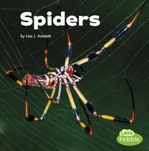 Spiders by Lisa J. Amstutz