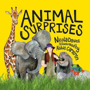 Animal Surprises by Nicola Davies