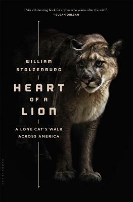 Heart of a Lion: A Lone Cat's Walk Across America by William Stolzenburg