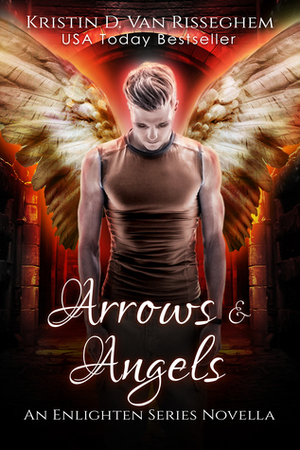 Arrows & Angels by Kristin D. Van Risseghem