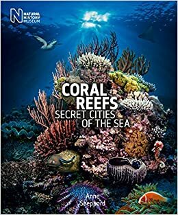 Coral Reefs: Secret Cities of the Sea by Anne Sheppard