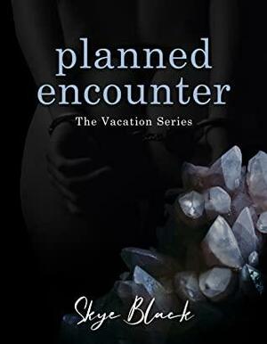 Planned Encounter by Skye Black