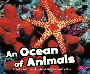 An Ocean of Animals by Janine Scott