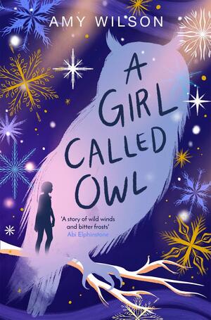 A Girl Called Owl by Amy Wilson