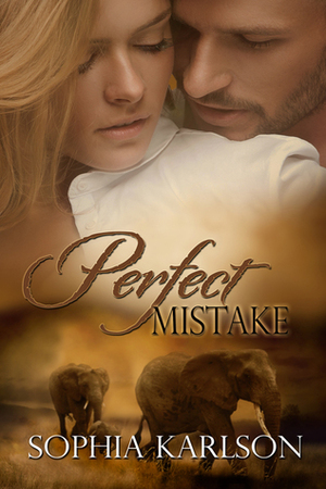 Perfect Mistake by Sophia Karlson