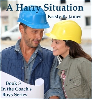 A Harry Situation by Kristy K. James