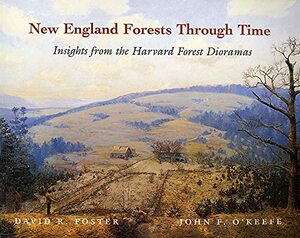 New England Forests Through Time: Insights from the Harvard Forest Dioramas by David R. Foster